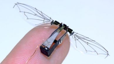 RoboBee Becomes First Robot That Can Both Fly and Swim