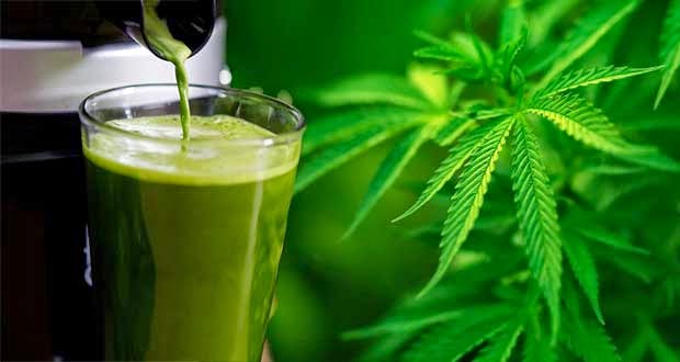 Shocking Results: Woman Replaces 40 Medications With Raw Cannabis Juice