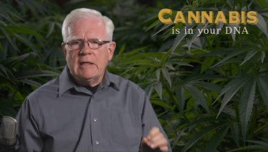 Cannabis Is In Your DNA