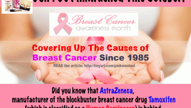 Breast Cancer Awareness Month: Covering Up The Causes of Breast Cancer Since 1985